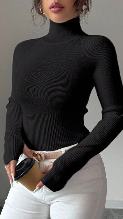 Pull Chic et Structuré à Col Haut